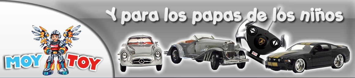 BANNER CARROS